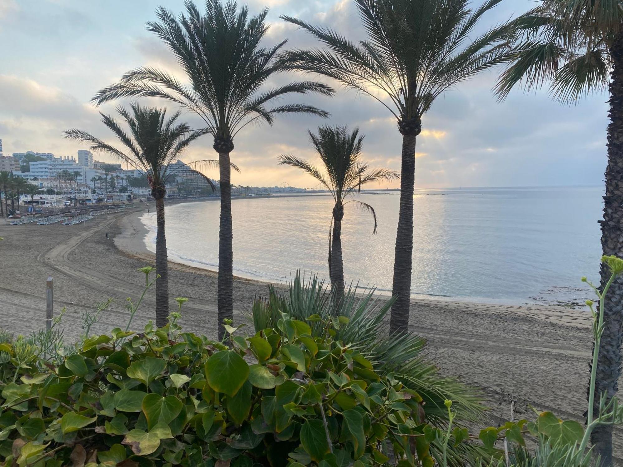 Studio With Views Next To Puerto Marina The Green Door ベナルマデナ エクステリア 写真