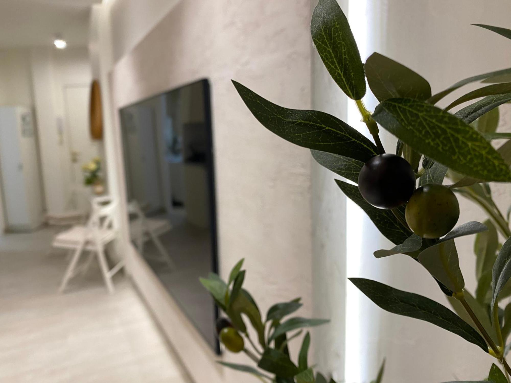 Studio With Views Next To Puerto Marina The Green Door ベナルマデナ エクステリア 写真
